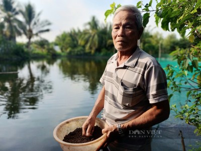 Nuôi thứ cá mang tỷ đô cho Việt Nam, ông nông dân Sài Gòn quê Đồng Tháp cứ bán là trúng