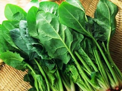 Cải bó xôi- 