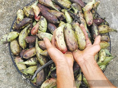 Vượt núi, 