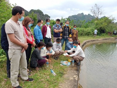 Tập huấn kỹ thuật nuôi cá nheo Mỹ