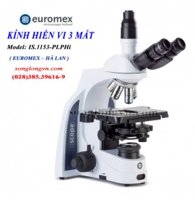 Kính hiển vi phản pha 3 mắt IS-1153-PLPHi Euromex 