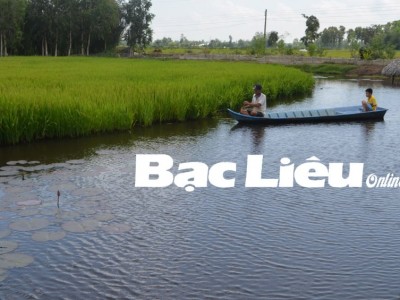 Đây là cách 