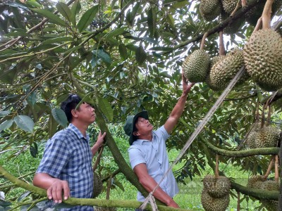 Lan tỏa những mô hình hay của Nông dân Việt Nam xuất sắc, Hợp tác xã tiêu biểu