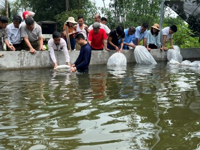 Nuôi thứ cá 