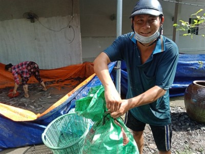 Nuôi cá tra bao năm không khá, mới chuyển sang nuôi cá trê trắng anh nông dân Hậu Giang lại đổi đời