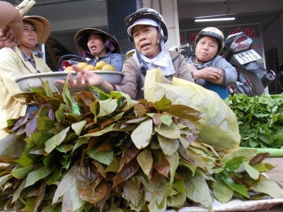 Loại rau dân dã được mệnh danh là 
