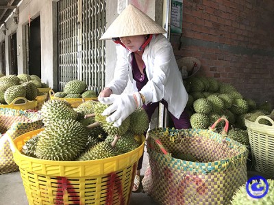 Cẩn trọng với phát triển 