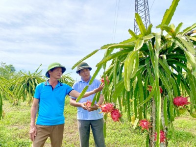 Một nông dân Quảng Trị thoát cảnh cơ hàn nhờ 