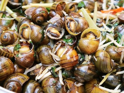 Con đặc sản 