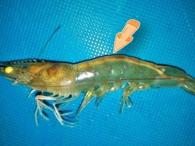 Sâu hơn về 