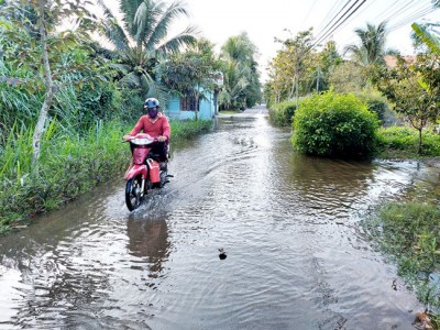 Bến Tre: Triều cường ngập cao kỷ lục, Giám đốc Trung tâm khí tượng thủy văn tỉnh lý giải như thế nào?