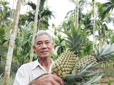 Cho 3 loài cây 