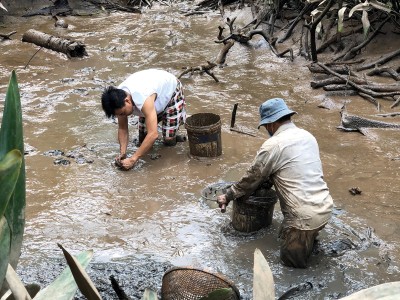 Xổ đập ngày Tết ở miền Tây, bắt tôm càng xanh to bự lên kho tàu làm cơm cúng ông bà, tổ tiên